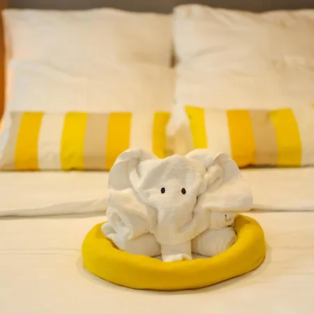 Spring * 卡罗维发利