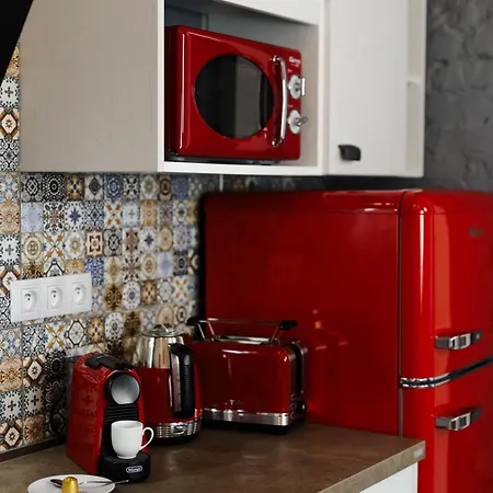 Spring 公寓 卡罗维发利