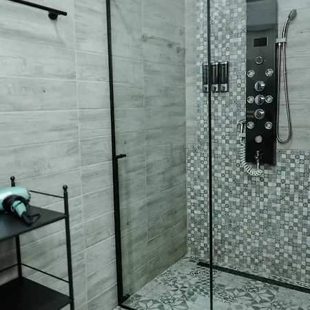 Spring 公寓 卡罗维发利